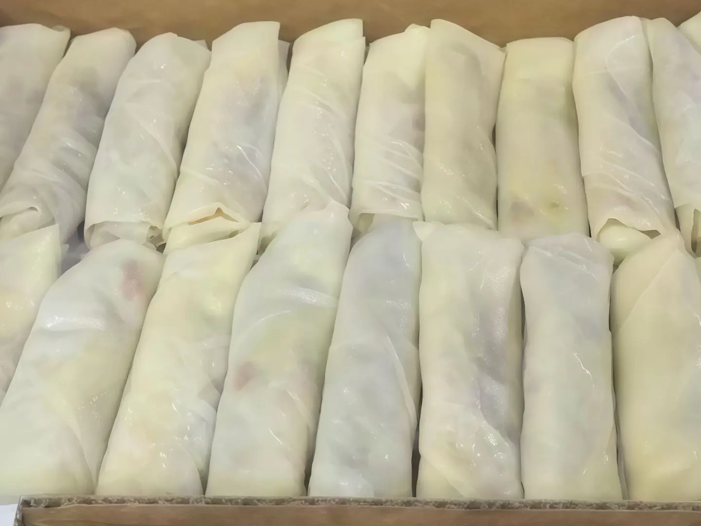 Frozen Box Spring Rolls