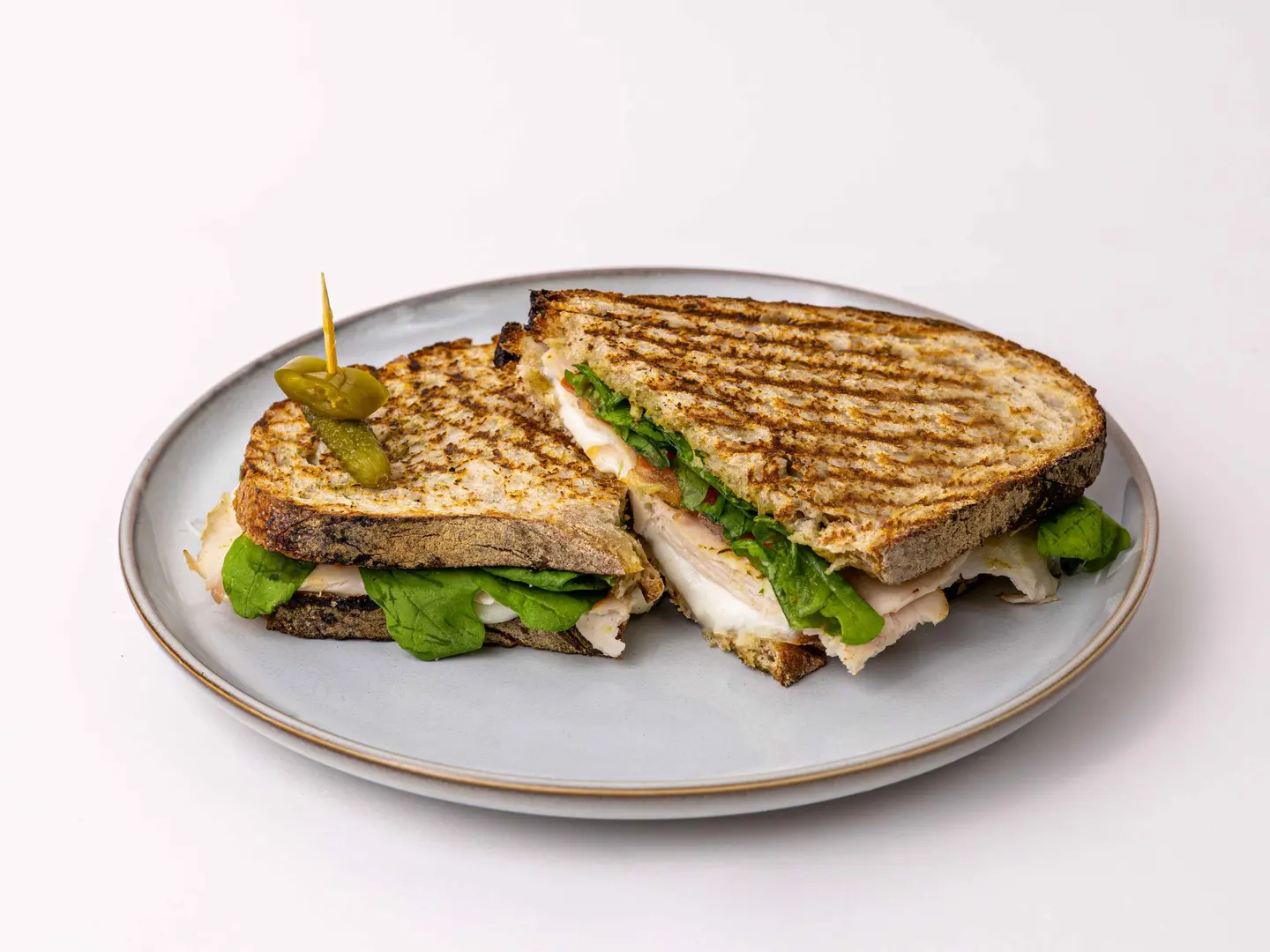 Fresh Mozzarella And Turkey