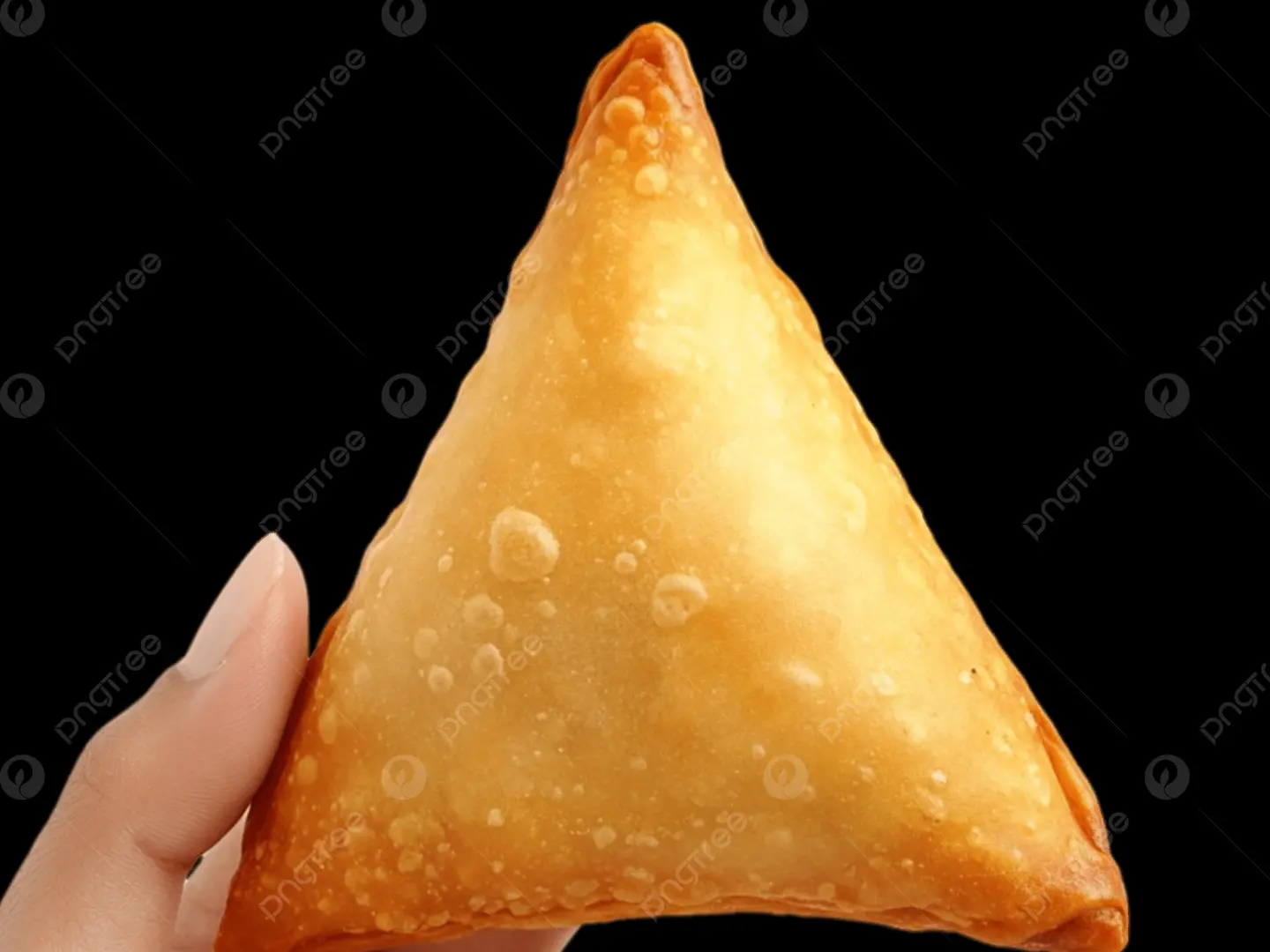 Cheddar, Mozzarella, Or White Cheese Samosa
