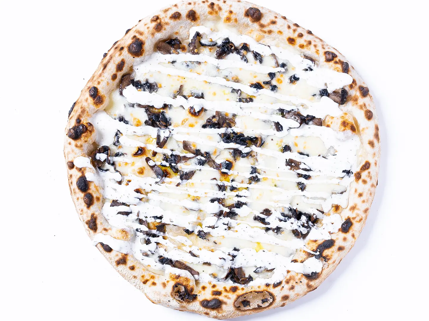 بيتزا ترافل