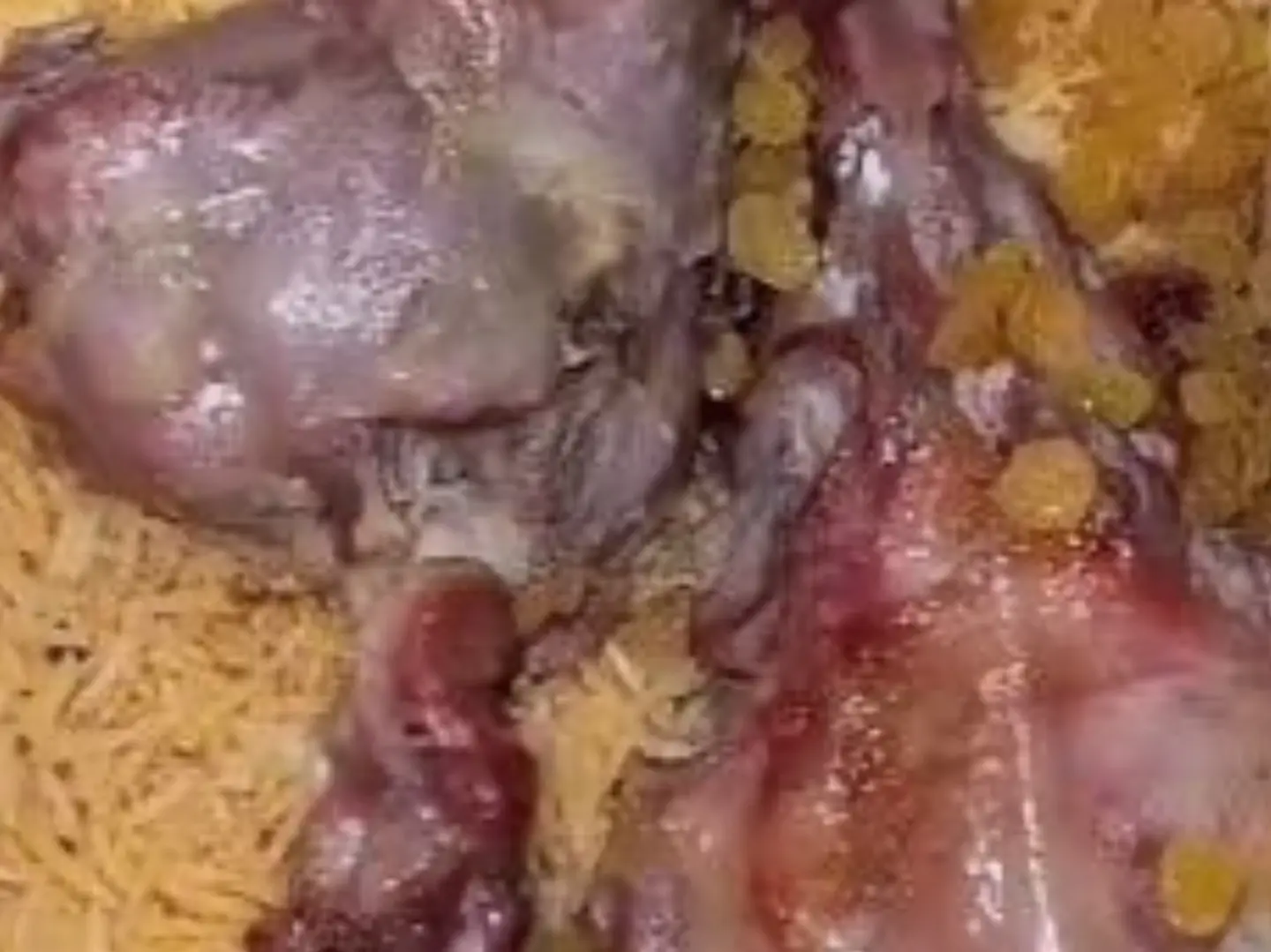 ربع تيس مندي