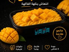 قشطوطة مانجو