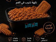 قشطوطة لوتس