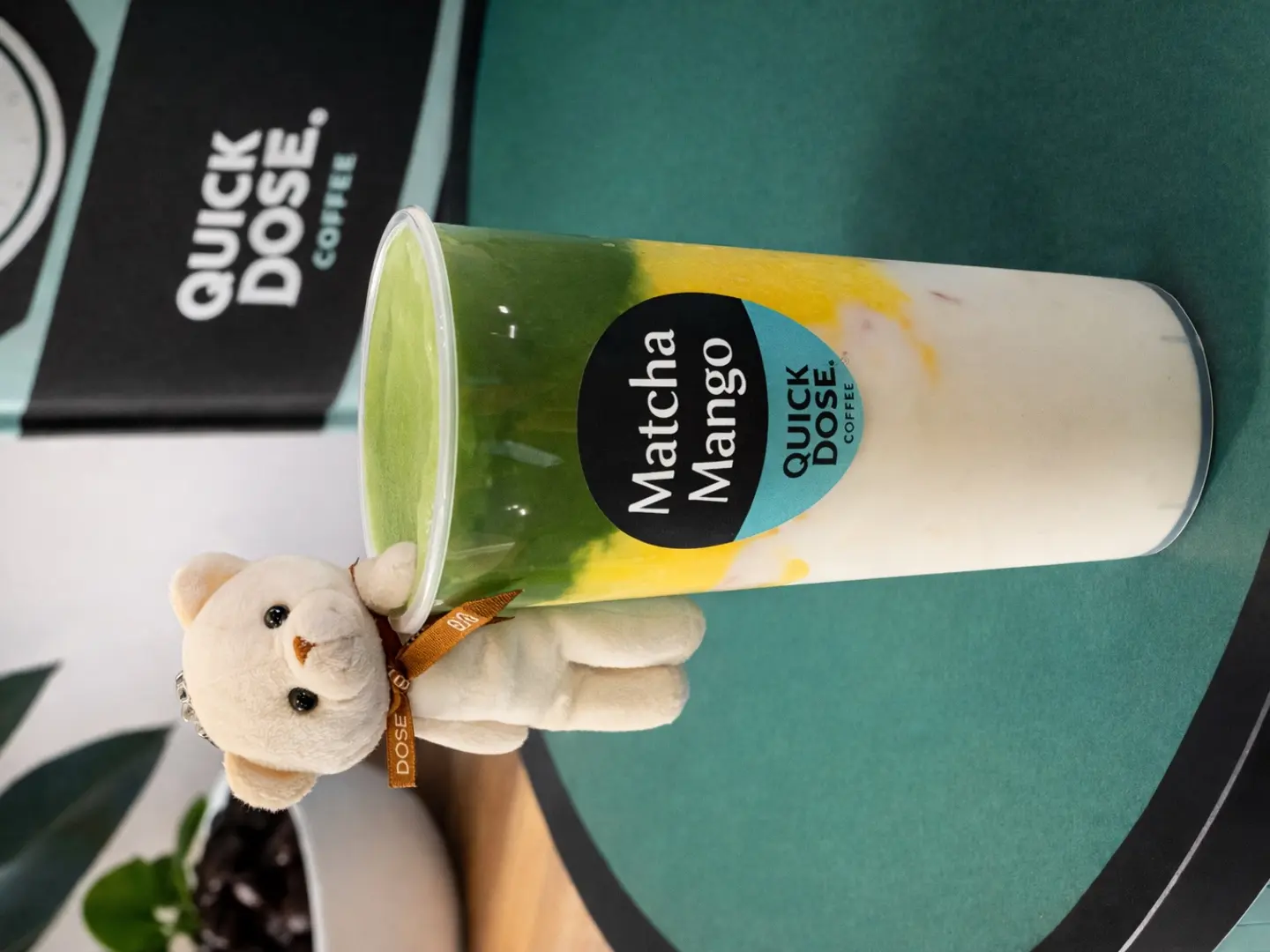 Matcha Mango With Teddy Bear Gift
