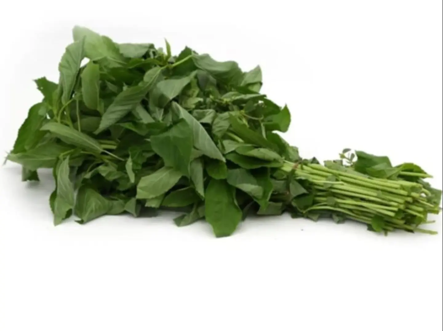 ملوخيه بلدي الحزمه