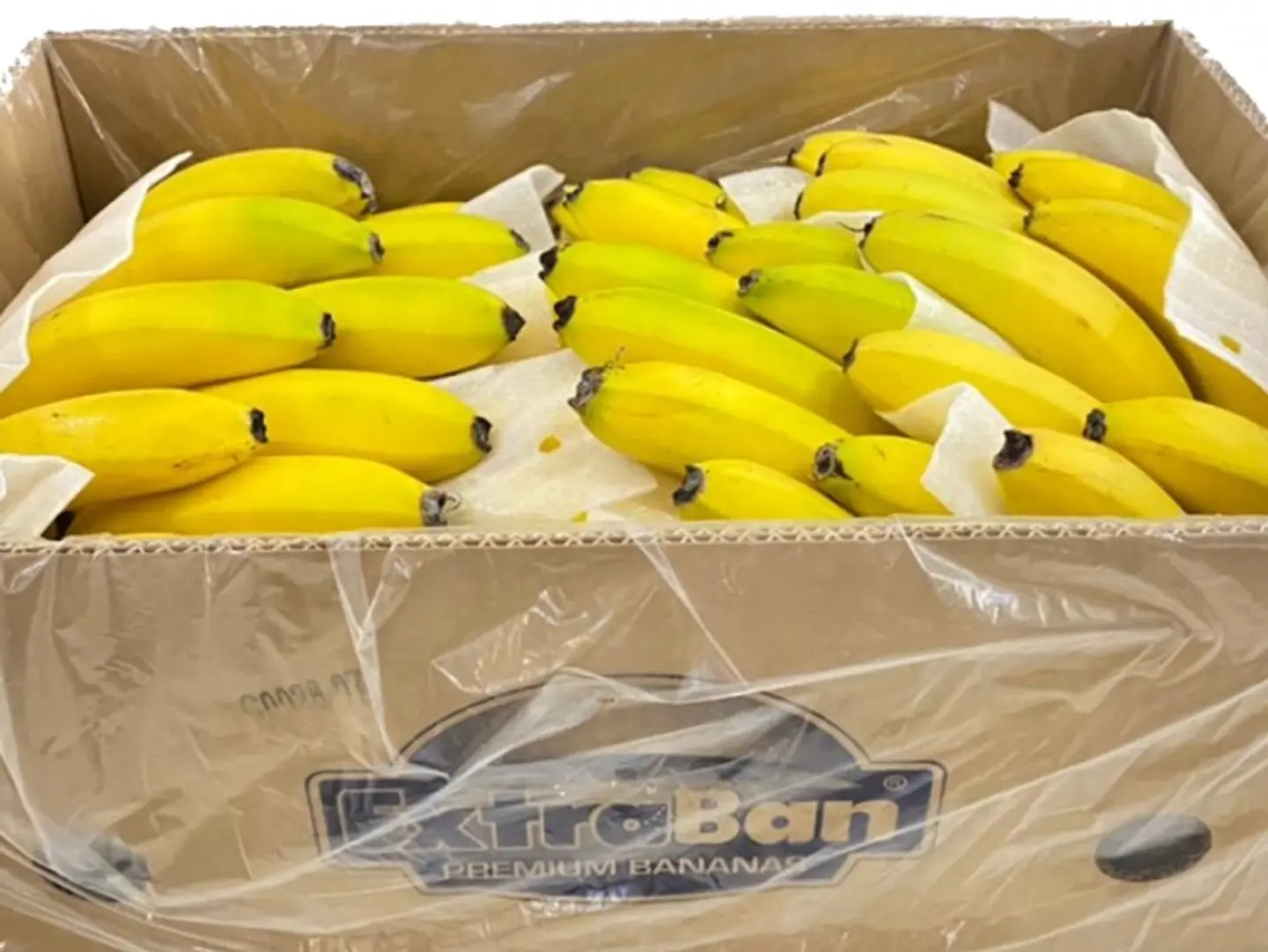 Banana