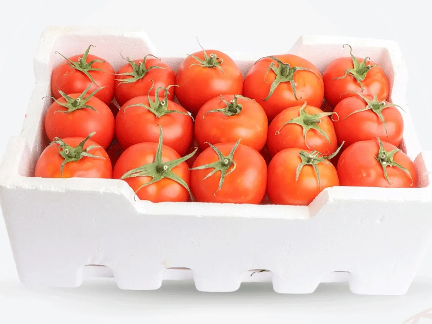 طماط الخرج حجم وسط فلين