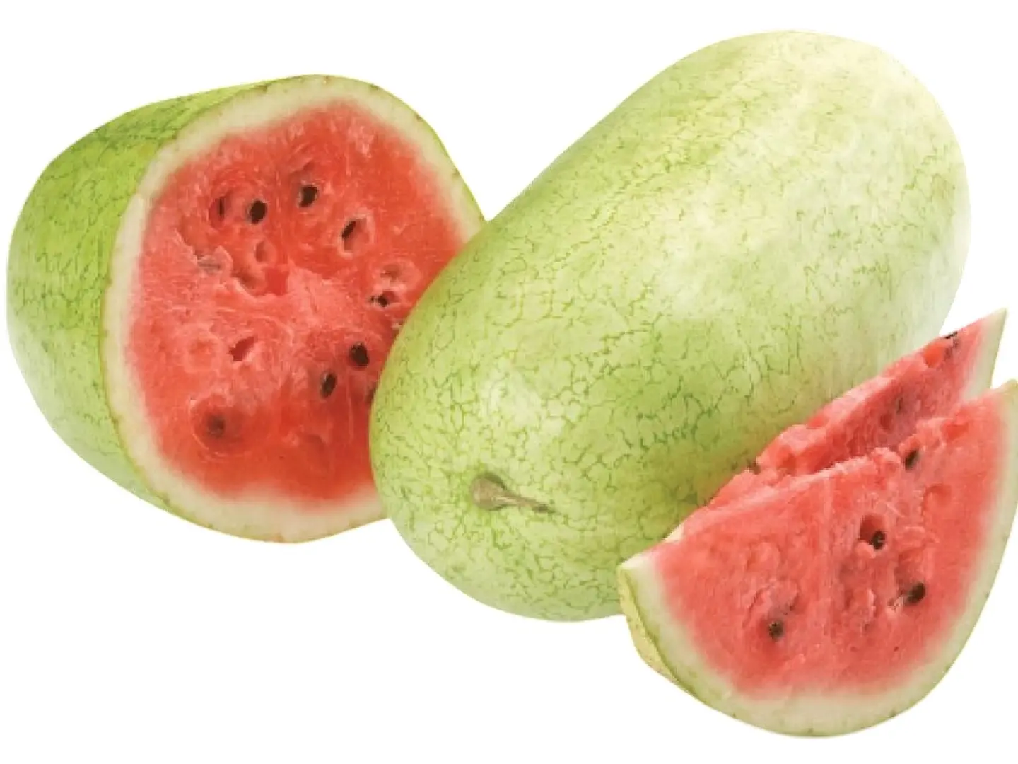 حبحب المدينه الحبه