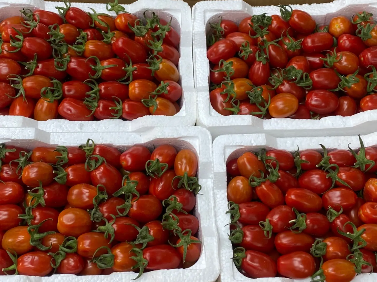 Cherry Tomatoes In A Carton