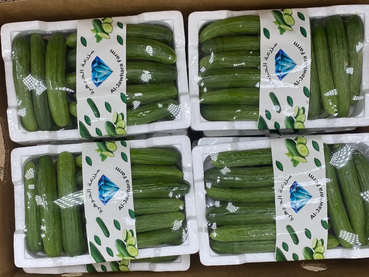 Baby Cucumber