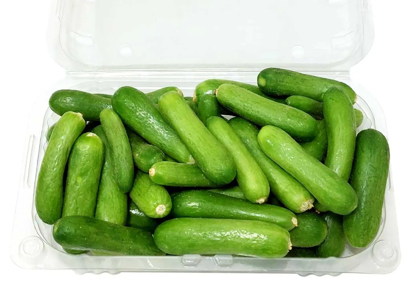 خيار بيبي صغير علبه