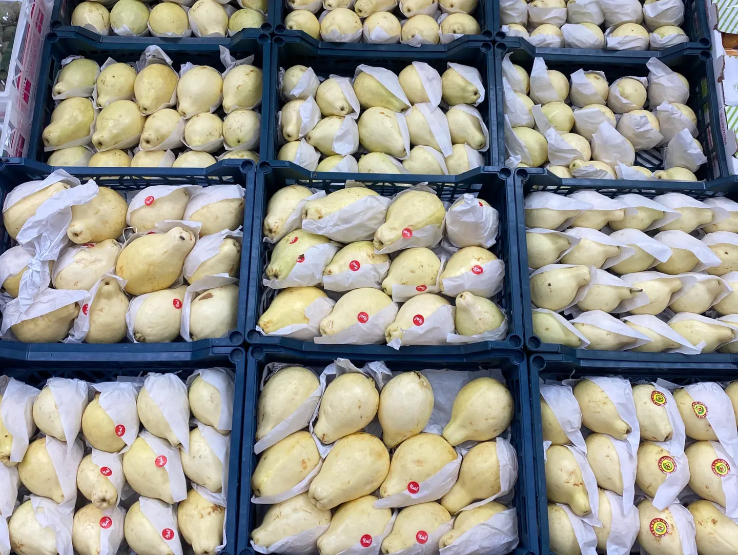 Egyptian Guava Basket