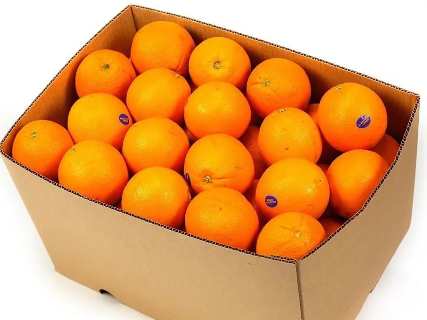 An Orange