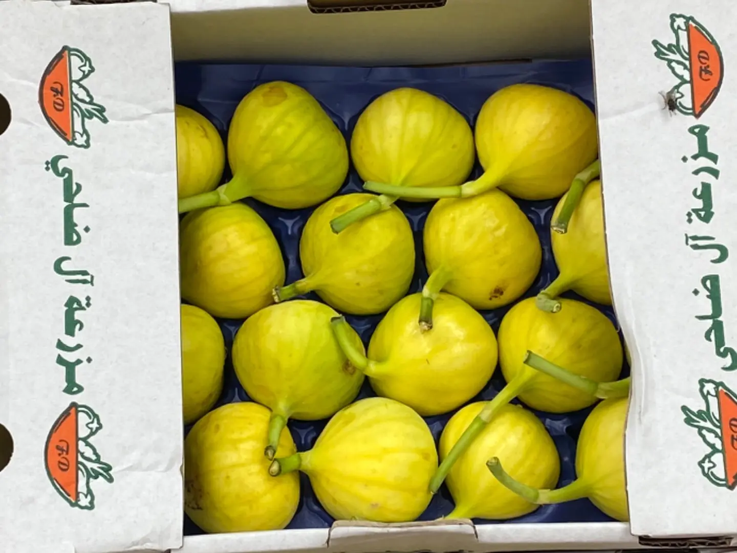 Fresh Small Green Figs