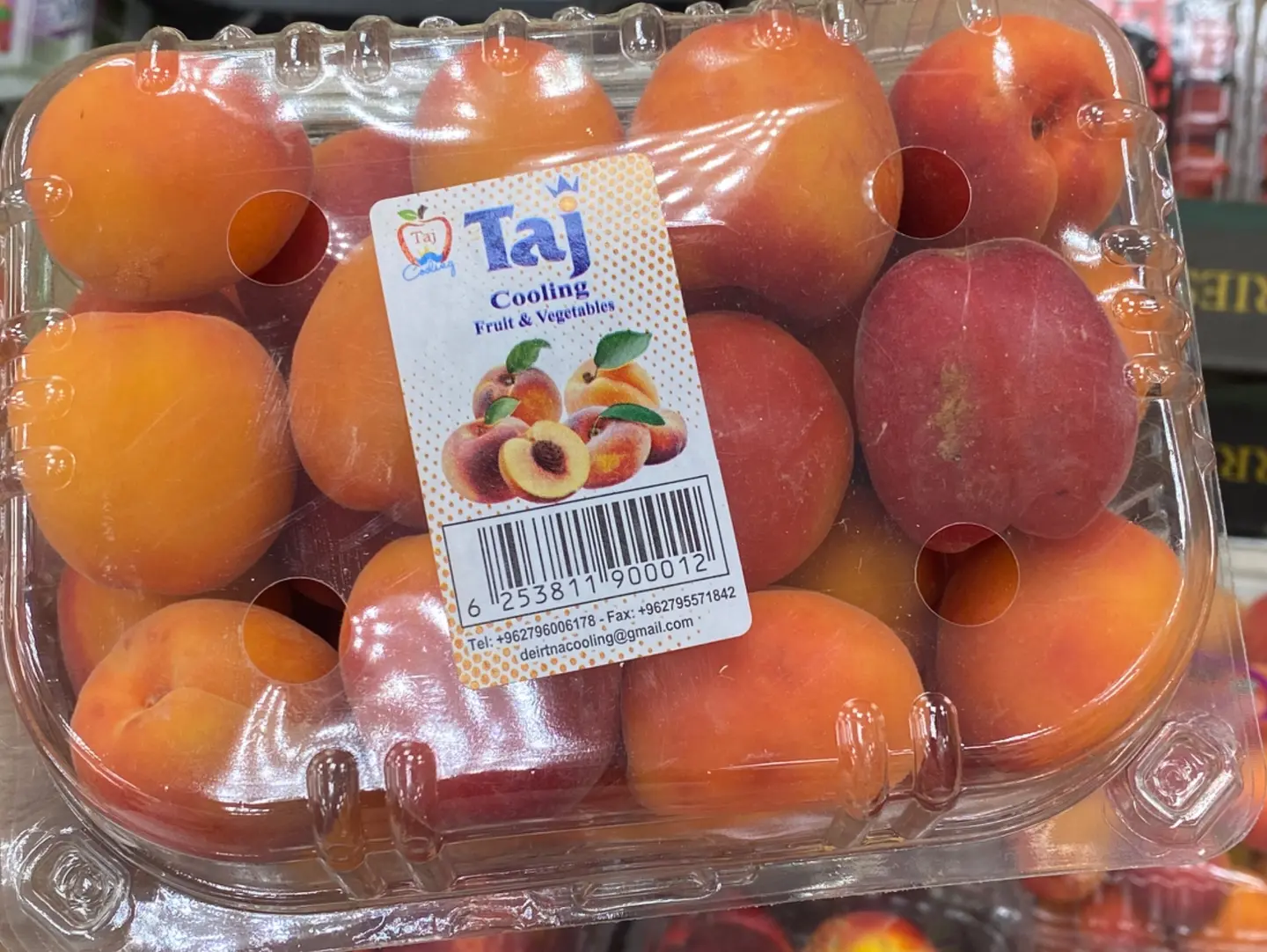 مشمش اردني علبه