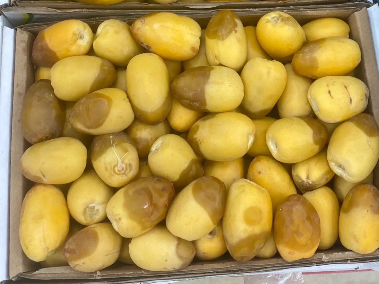 رطب خلاص الوادي كرتون