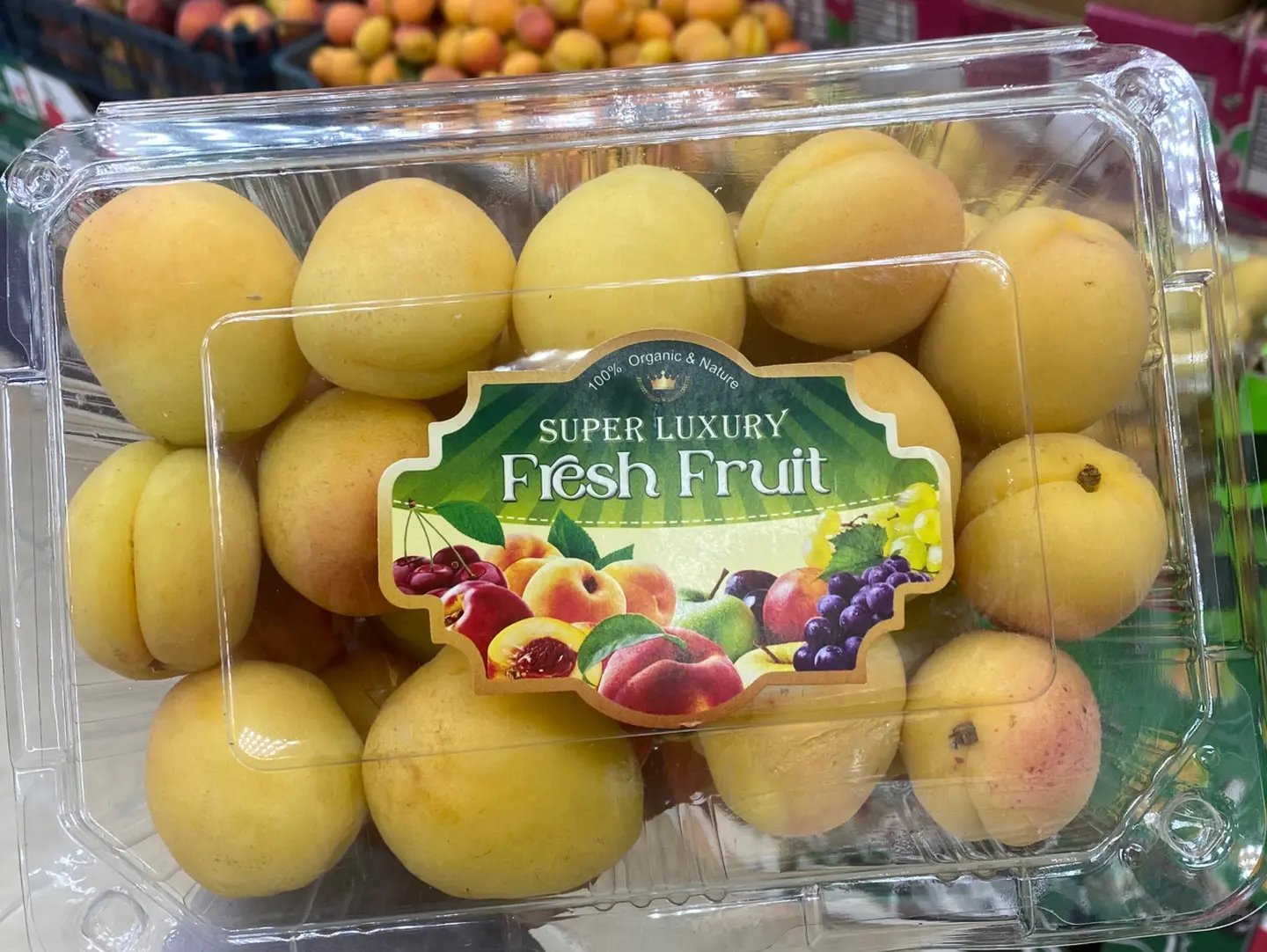 Apricot
