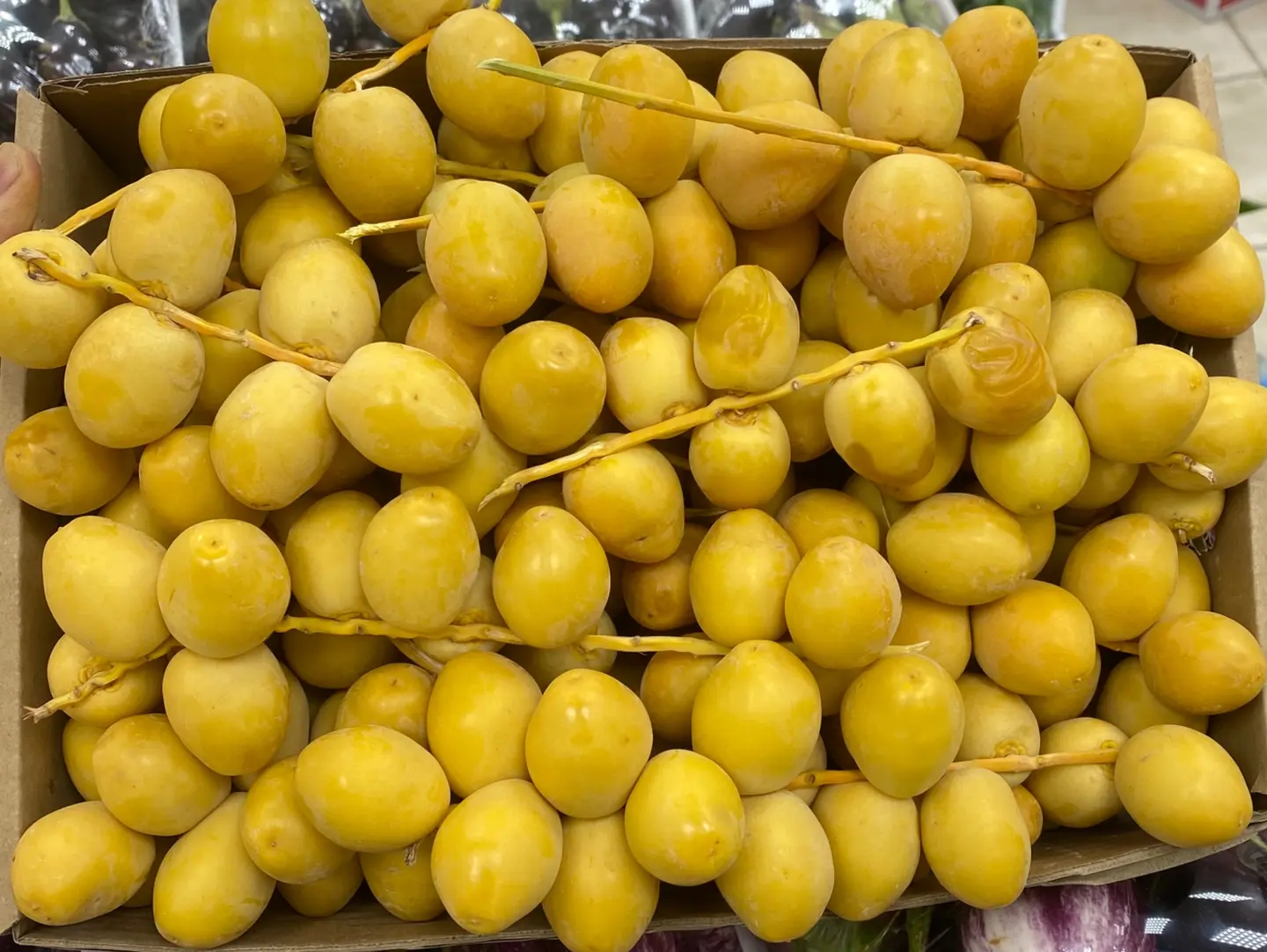 رطب برحي صندوق