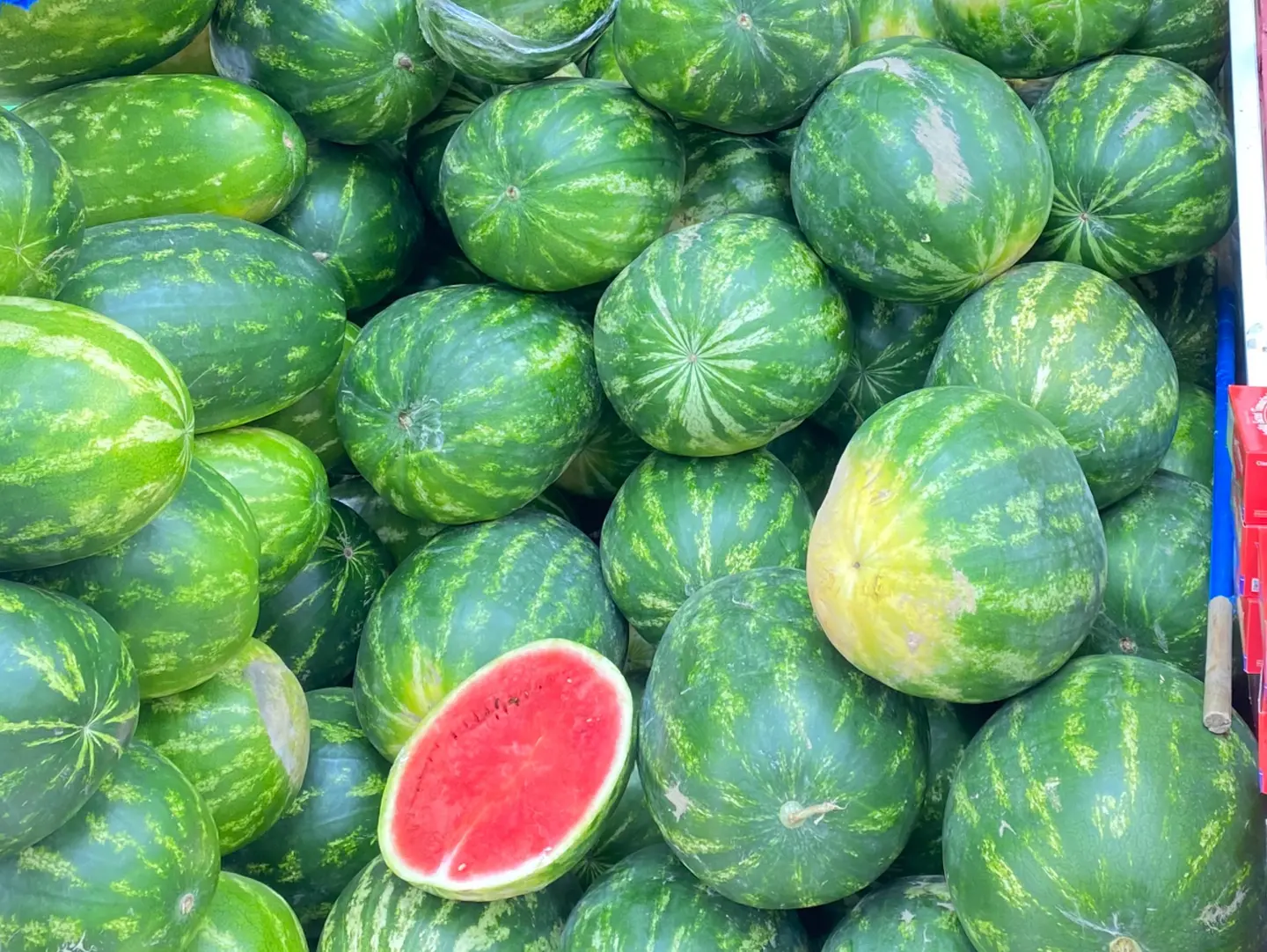 حبحب وسط حبه