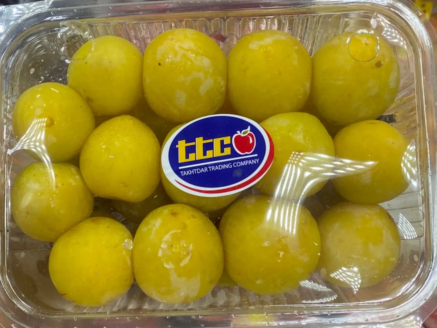 غوجه اصفرسكري علبه