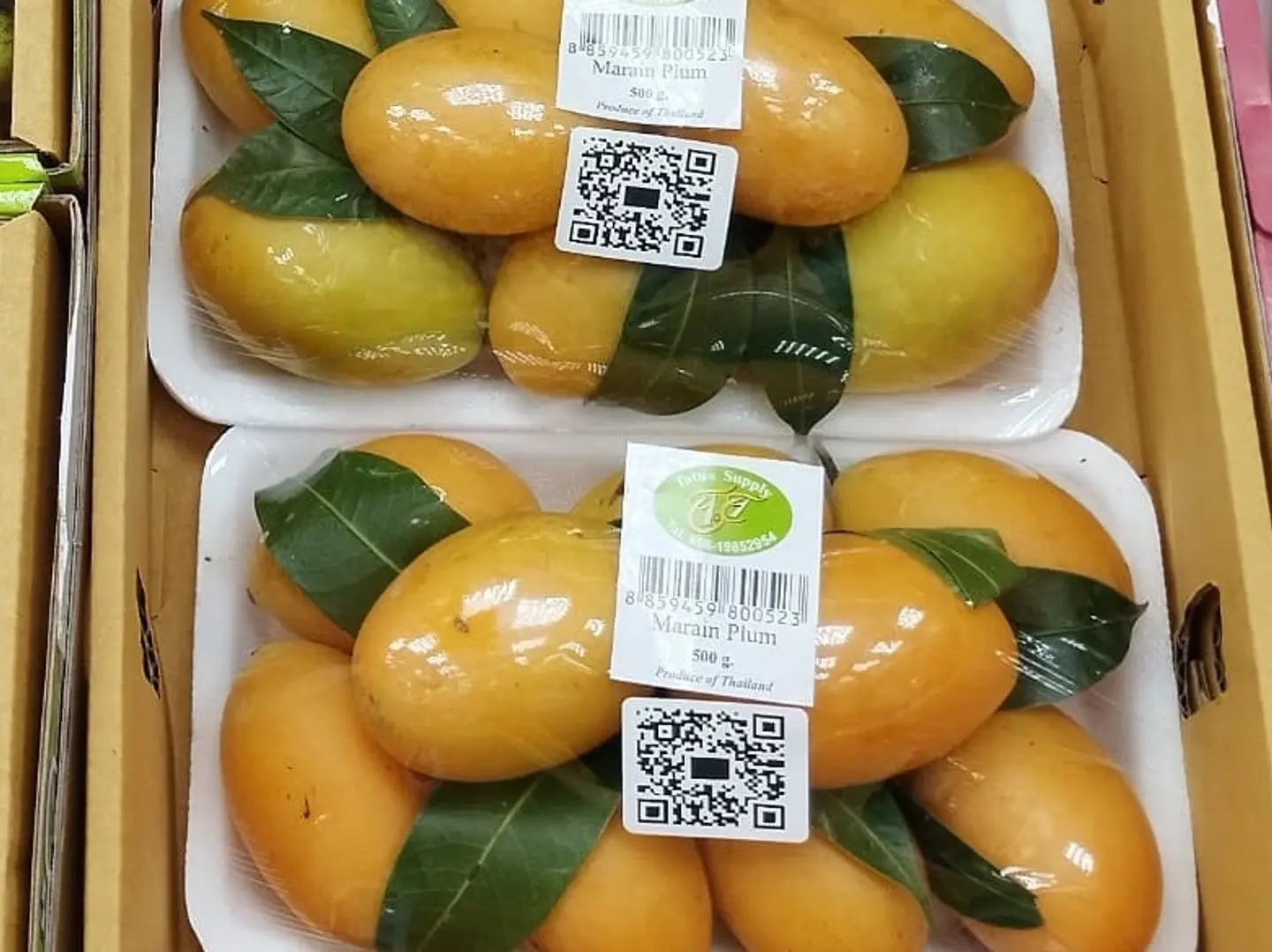 مانجو تايلندي سكري صحن