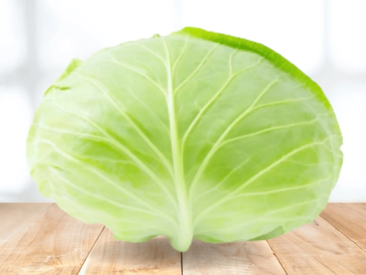 ملفوف المحشي