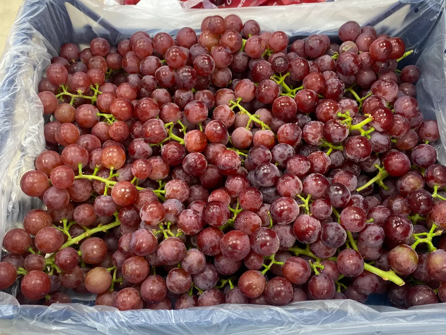 Egyptian Grapes