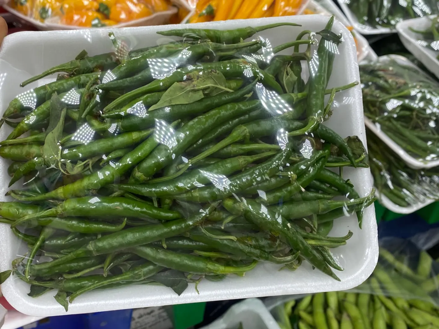 فلفل حار شطه صحن