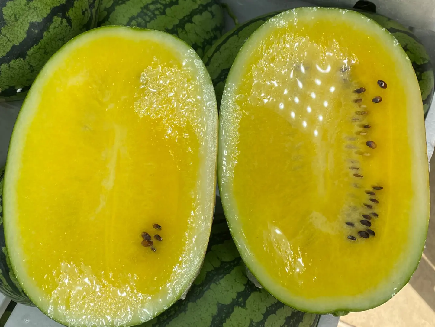 حبحب أصفر