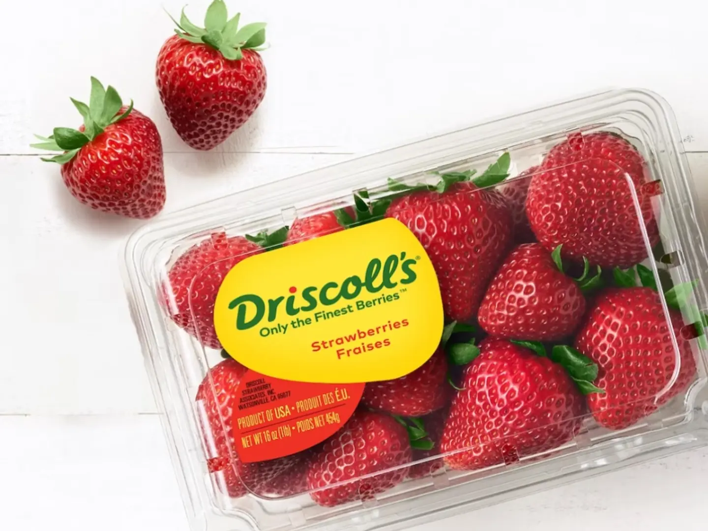 فراوله أمريكي علبه كبير