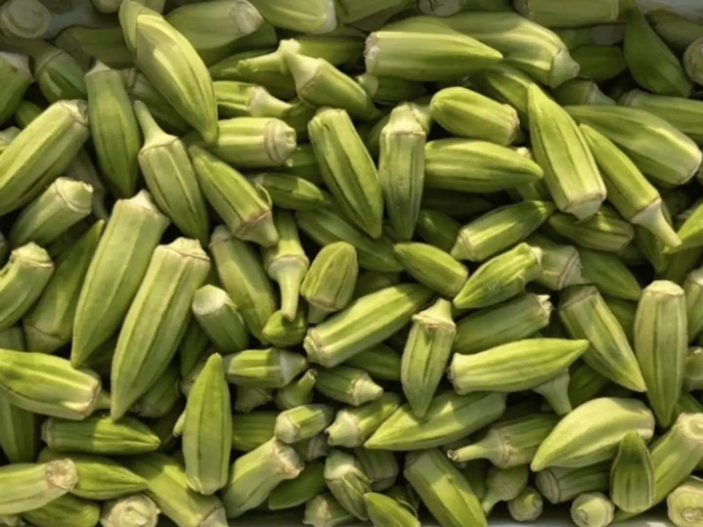 Okra White Half Kilo