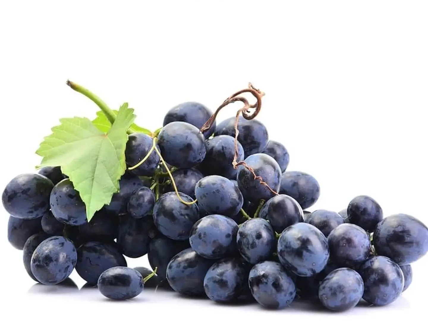 عنب اسود الكيلو