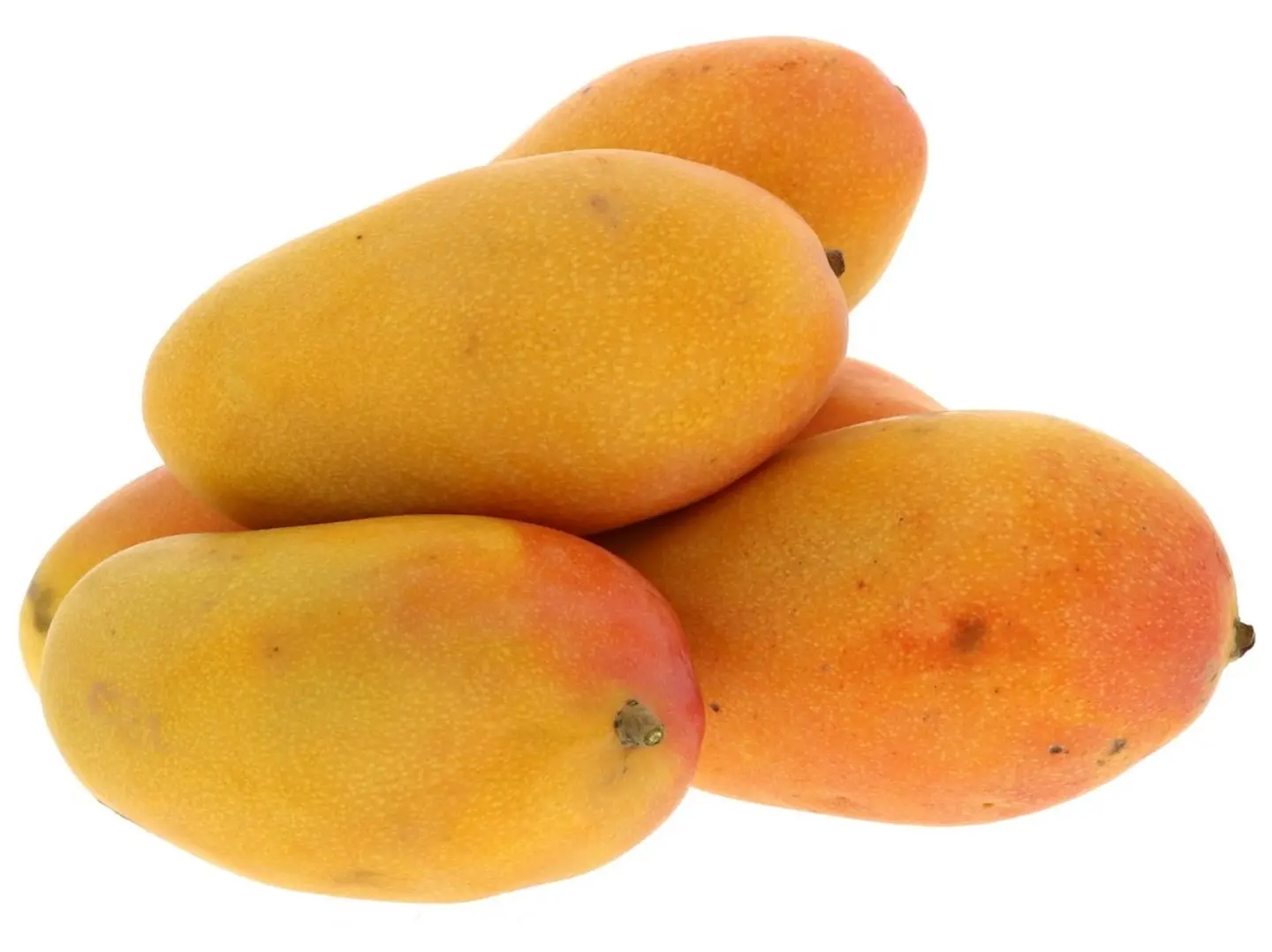 مانجو تيمور