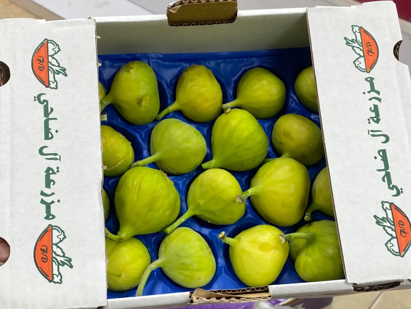 Fresh Small Green Figs