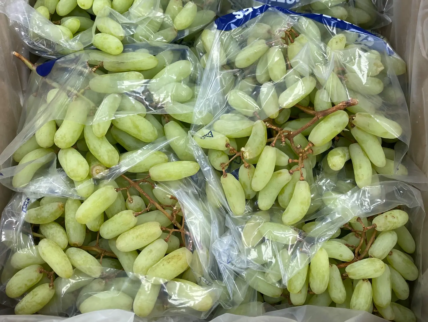 Green Indian Grapes .Kg