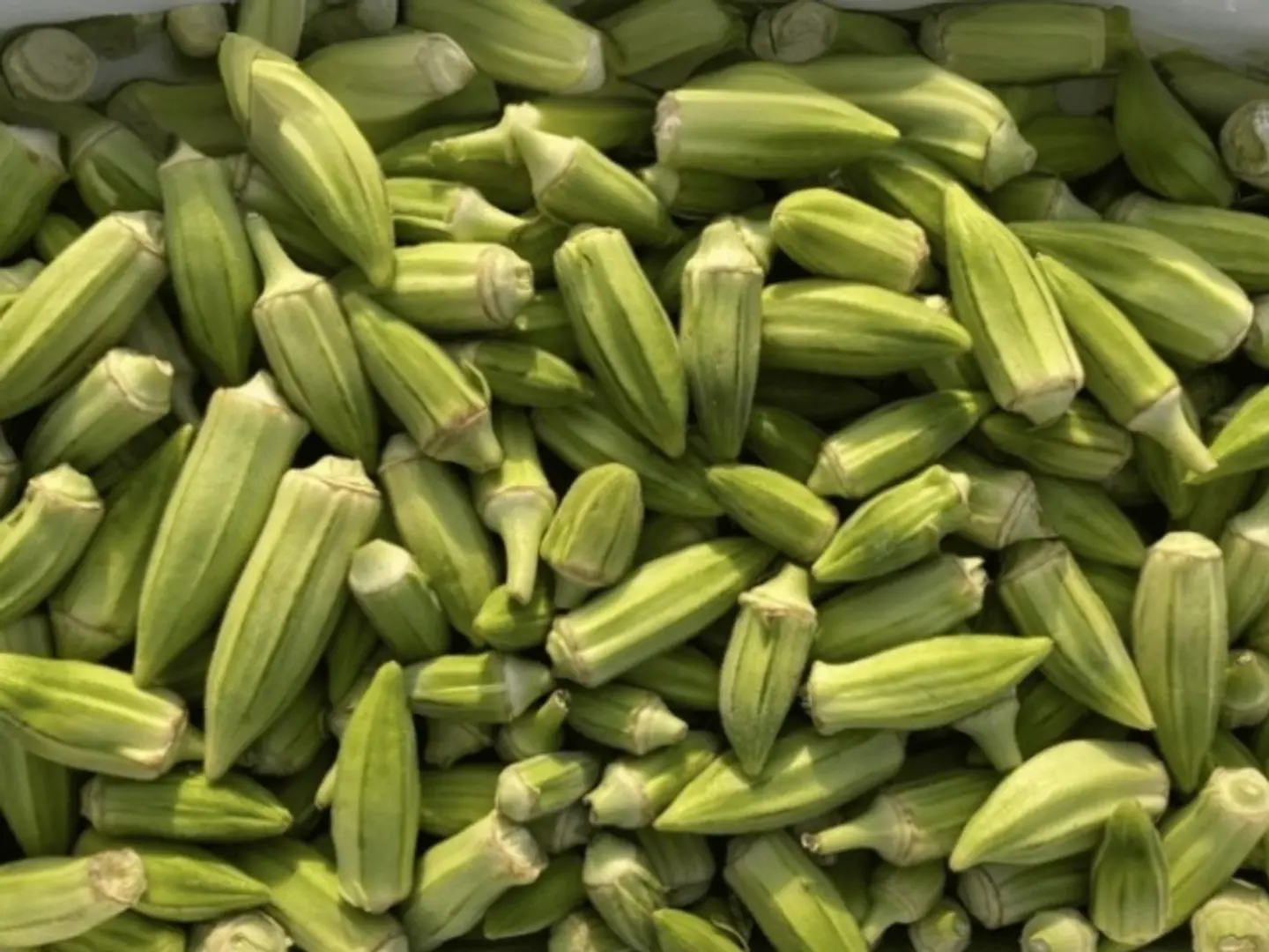 White Okra Per Kilo