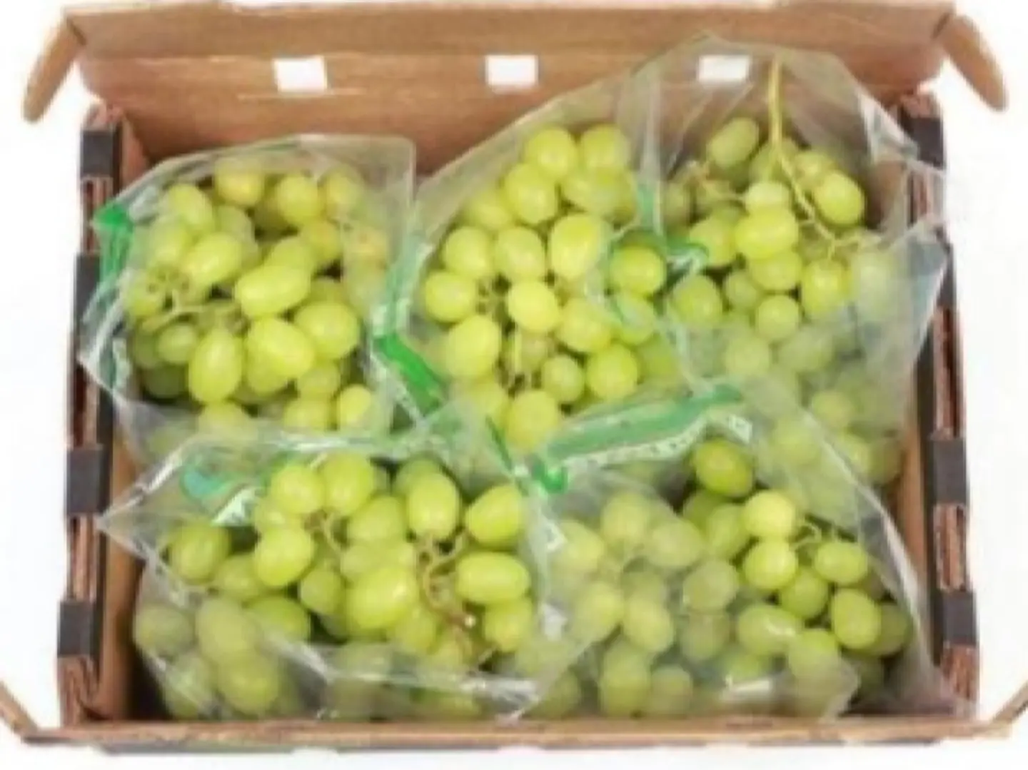 Green Seedless Sweet Grapes Carton