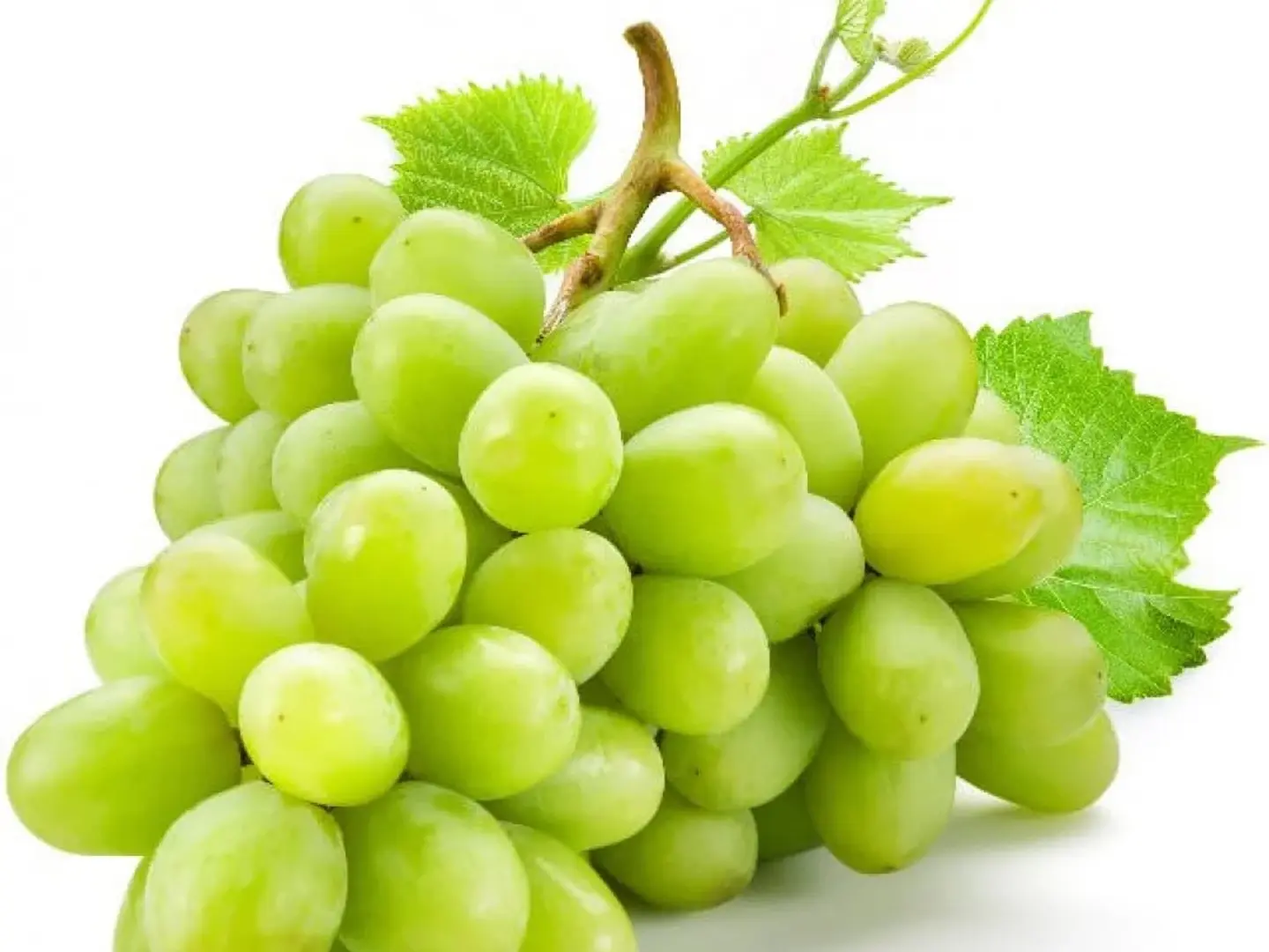 عنب اخضر استرالي الكيلو