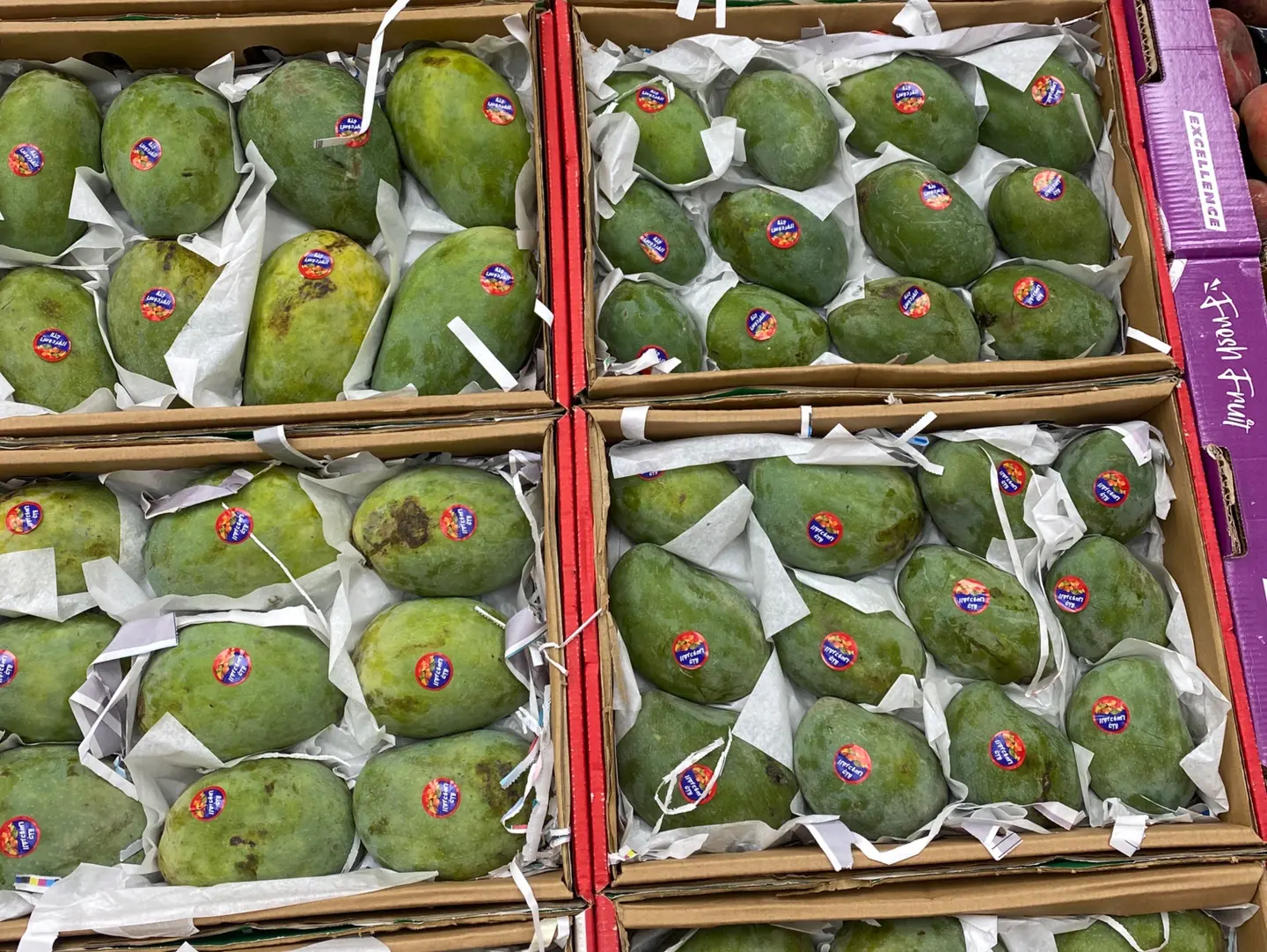 Mango Mas