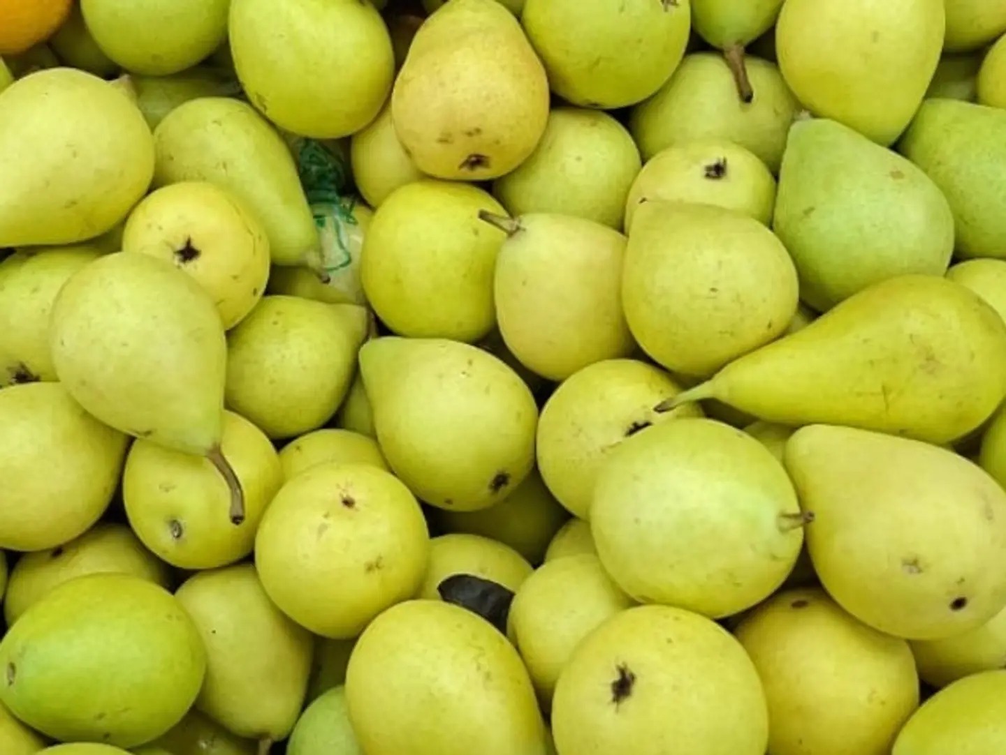 Pears