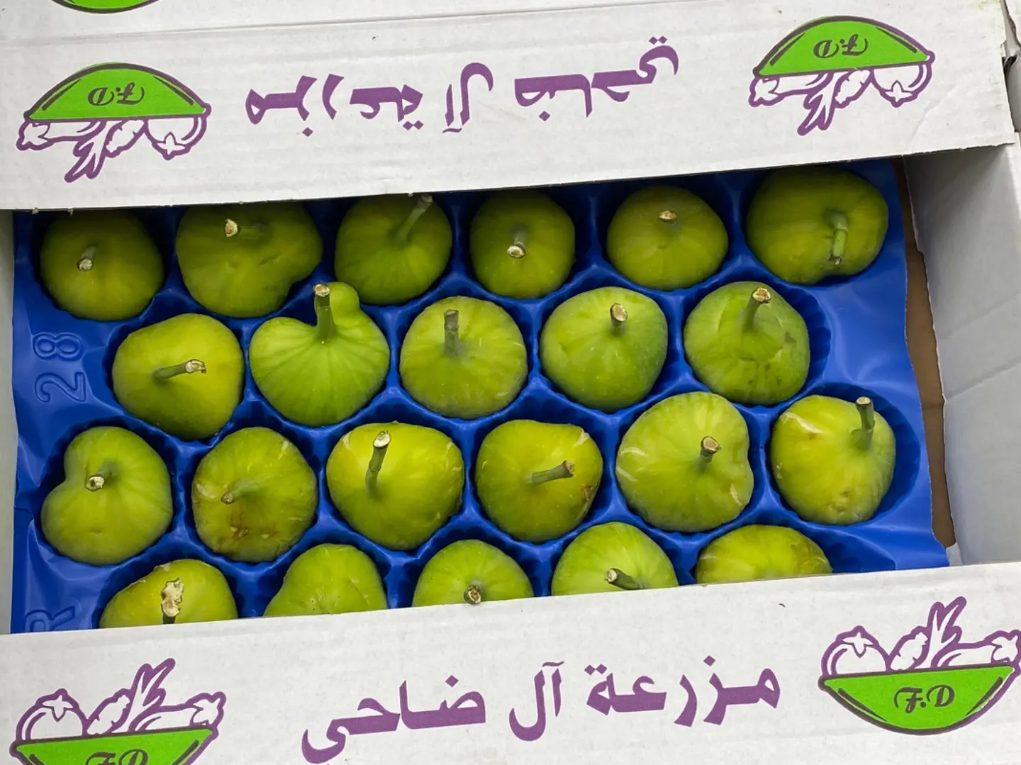 تين اخضر فرش طازج