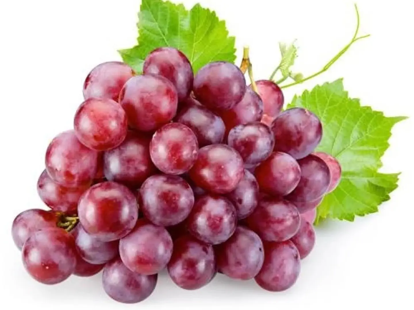 Half Kilo Chilean Red Grapes
