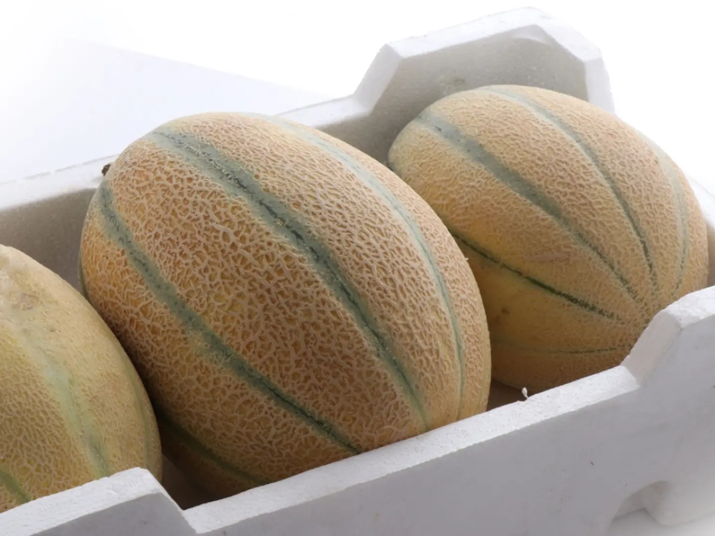 Melon Mango Sponge