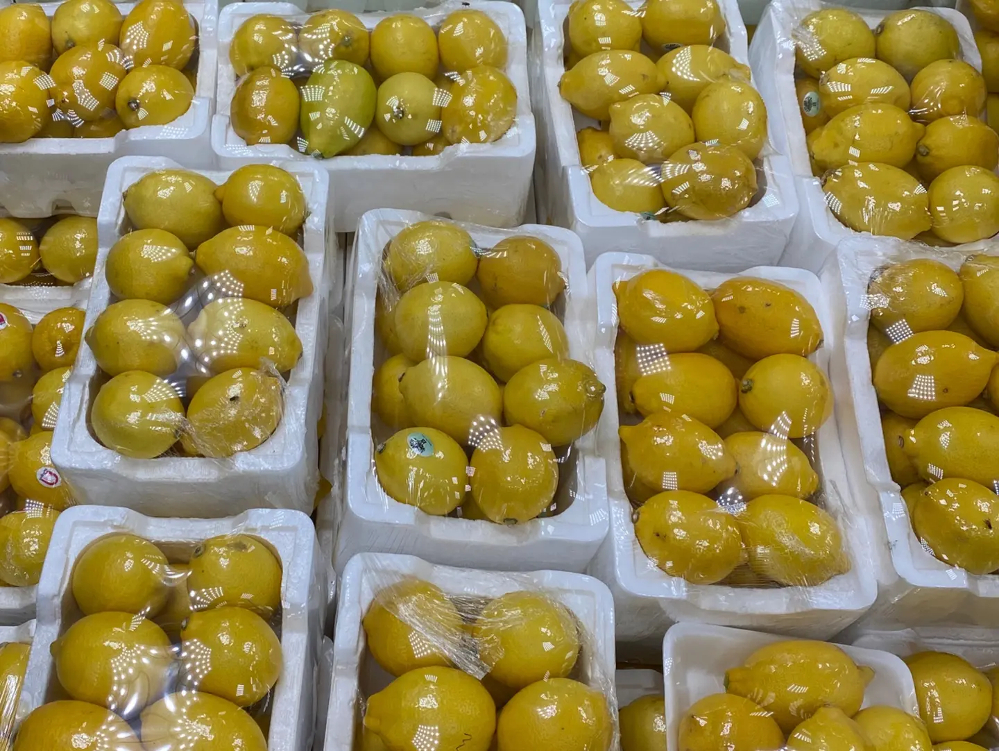 Yellow Lemon