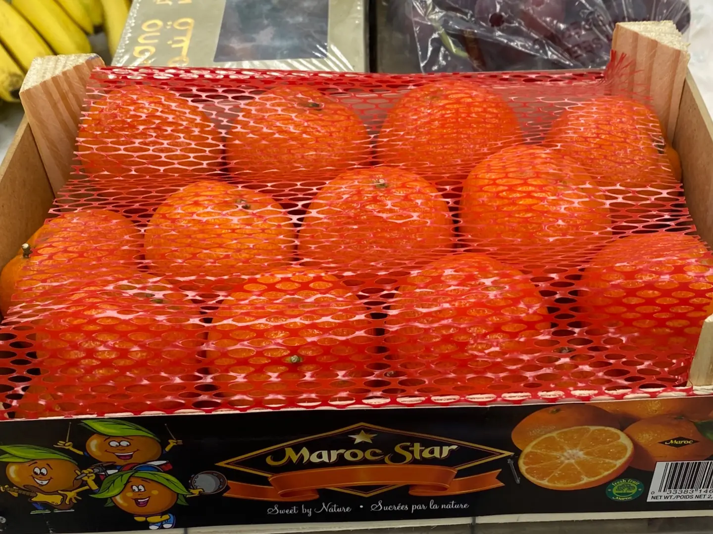 يوسفي مغربي صندوق صغير