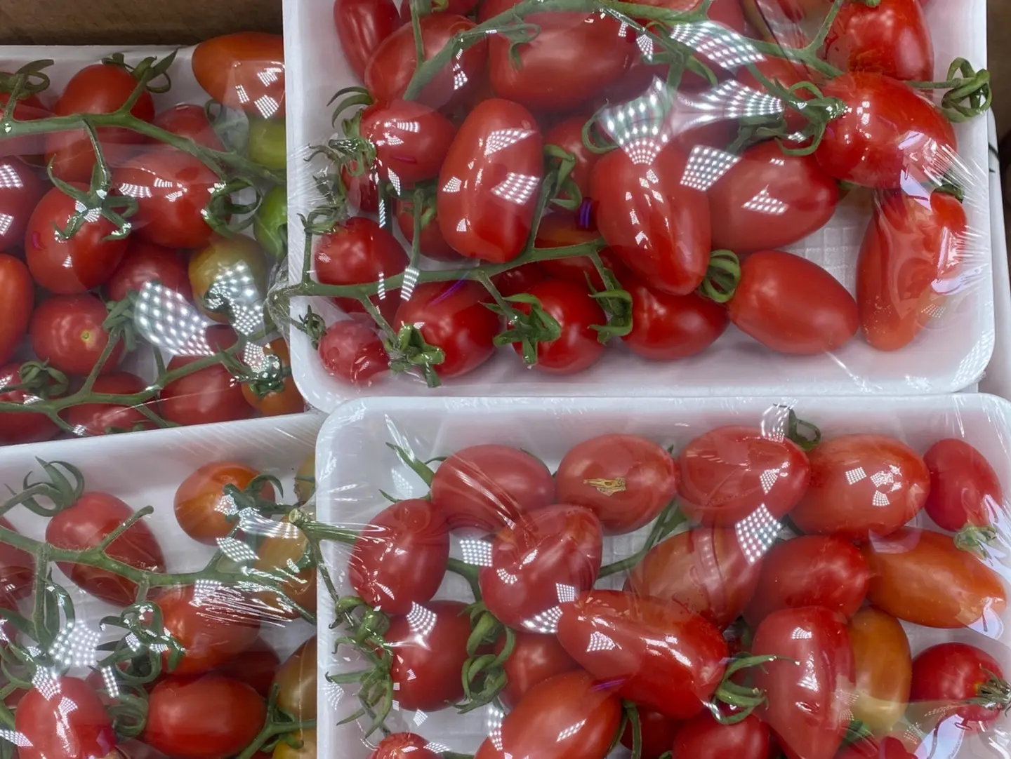 Cherry Tomatoes Plate