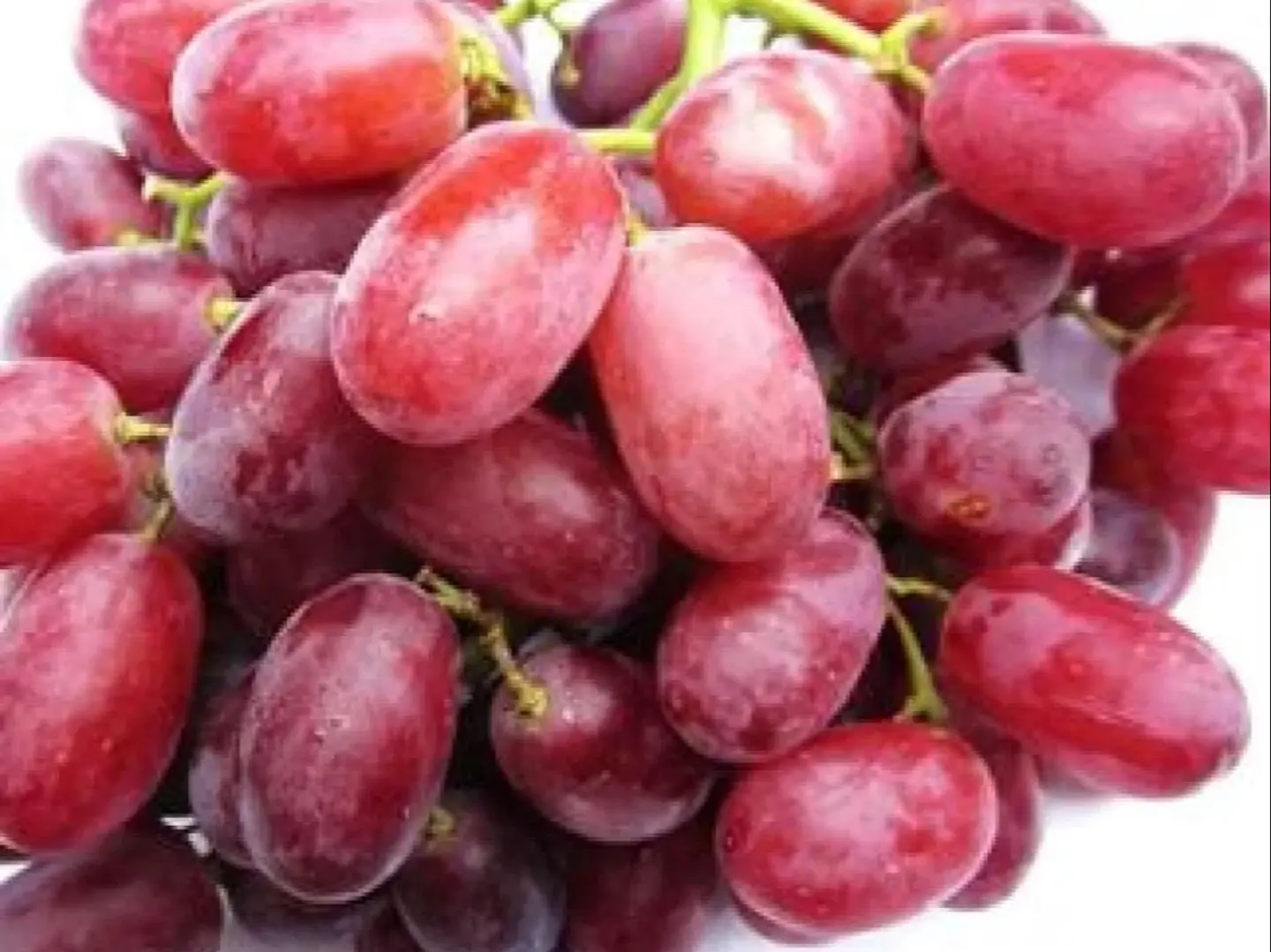 عنب احمر استرالي الكيلو