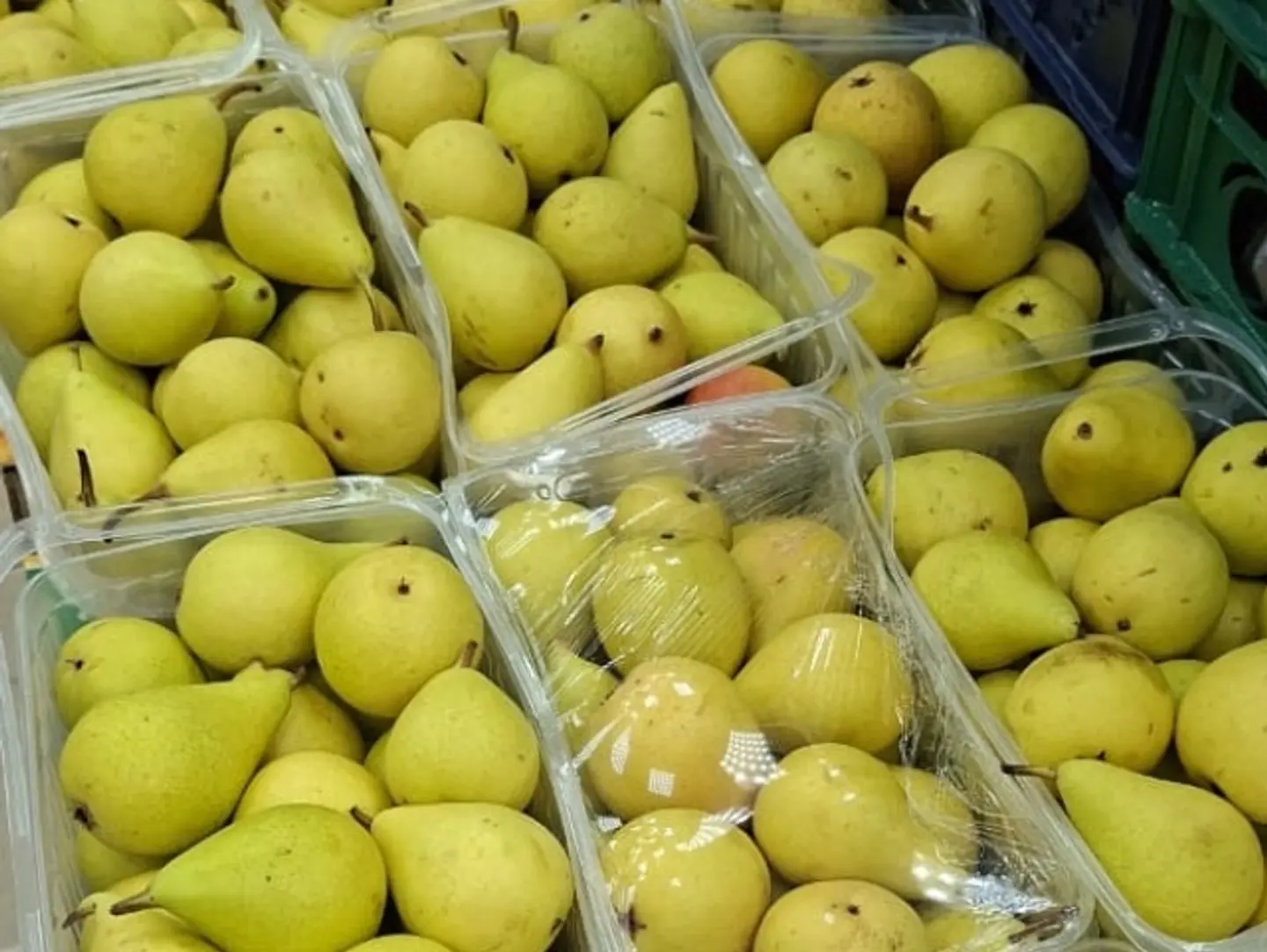Pears
