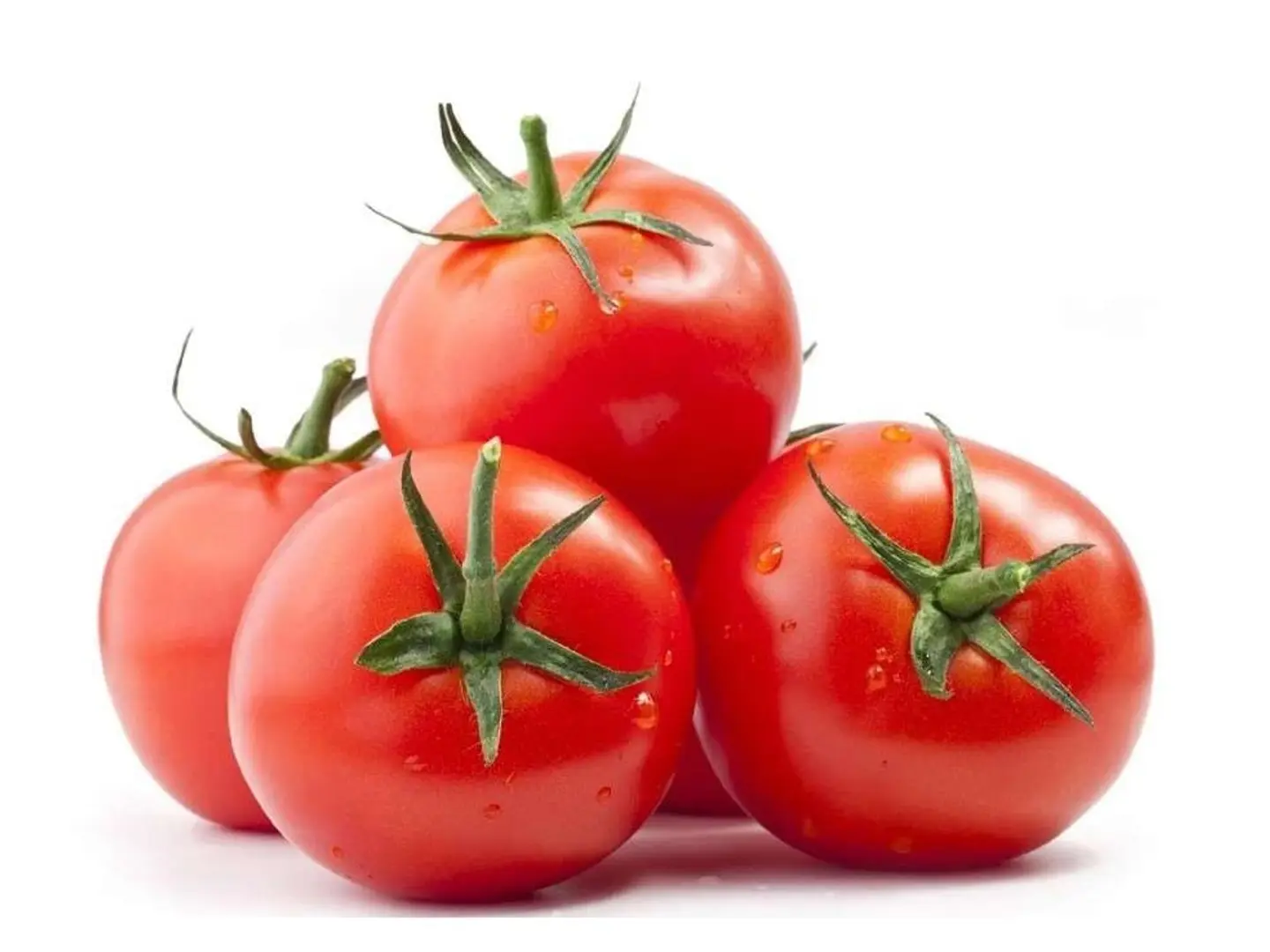 Kilo Tomatoes