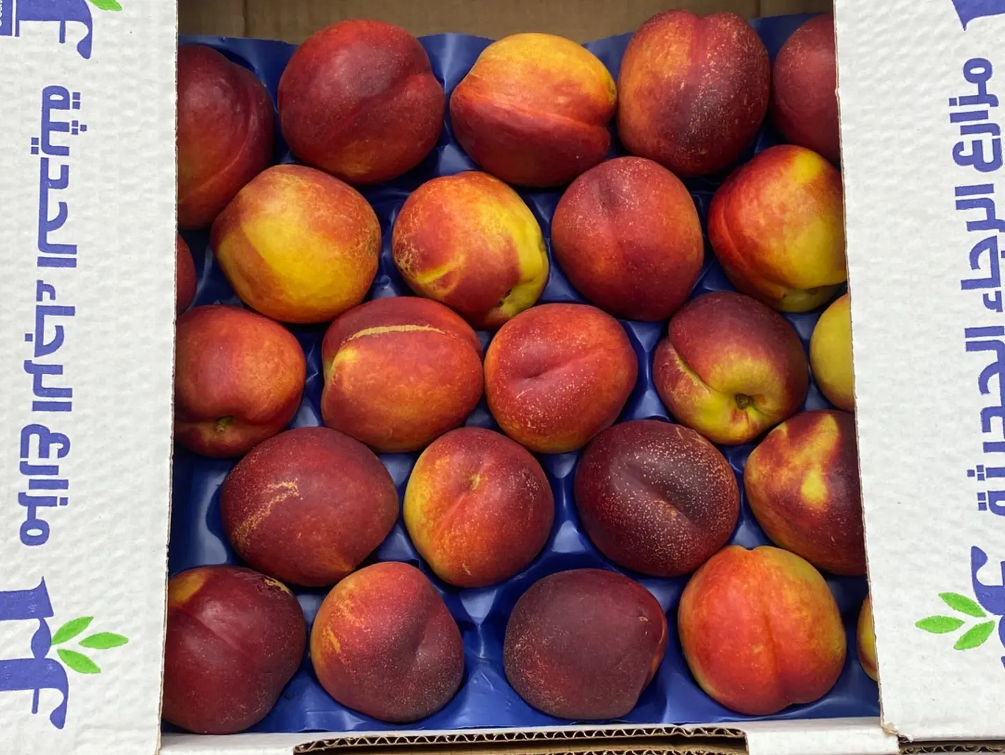 Nectarine